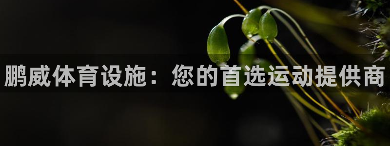 意昂体育3招商电话号码是多少啊：鹏威体育设施：您的首