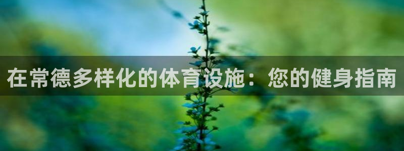 意昂3开户：在常德多样化的体育设施：您的健身指南