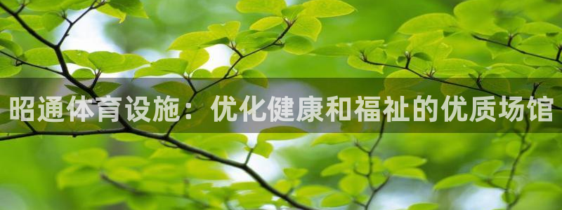 意昂3娱乐下载：昭通体育设施：优化健康和福祉的优质场