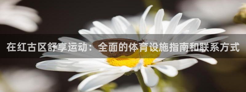 意昂3神州：在红古区舒享运动：全面的体育设施指南和联