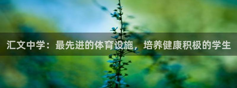 意昂3娱乐是那个系列的台子：汇文中学：最先进的体育设